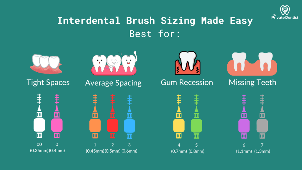 Interdental Brush Sizing
